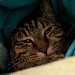 Meet your Posher, AJ